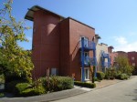 Images for Millennium Apartments - Penryn