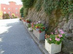 Images for Millennium Apartments - Penryn