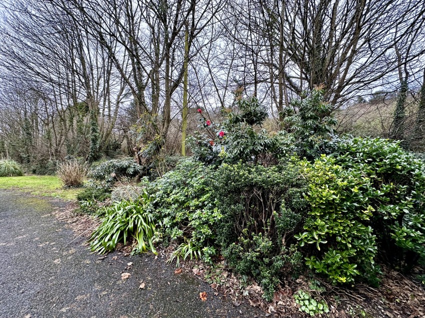 Images for Browns Hill - Penryn