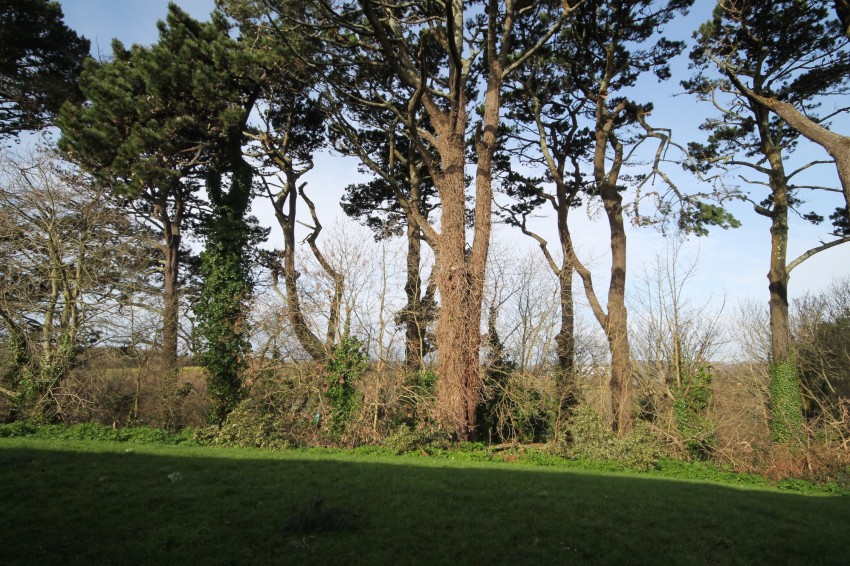 Images for Trecarne, Falmouth