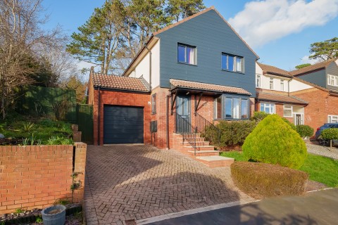 View Full Details for Ivydale, Exmouth
