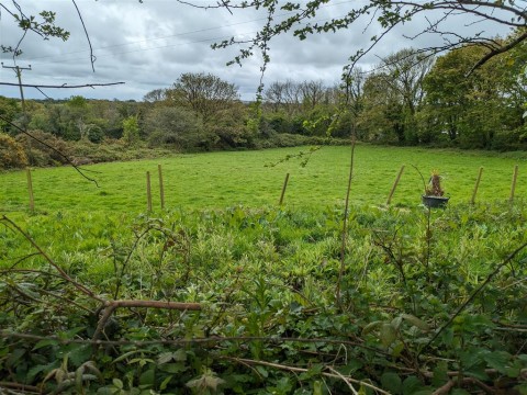 View Full Details for Blackwater, Truro
