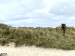Images for Atlantic Bay, Perranporth
