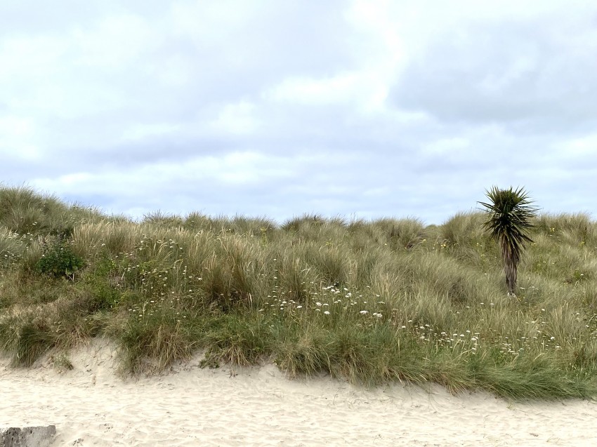 Images for Atlantic Bay, Perranporth