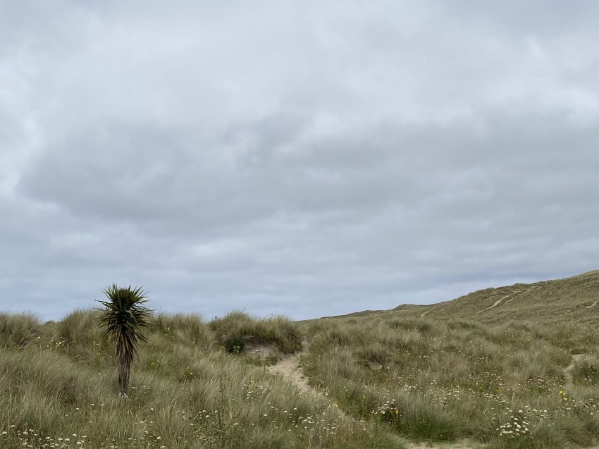 Images for Atlantic Bay, Perranporth