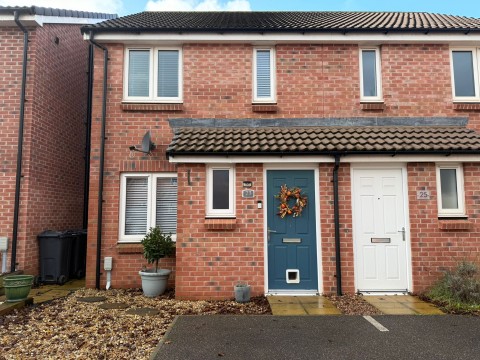 View Full Details for Sweet Chestnut, Cranbrook