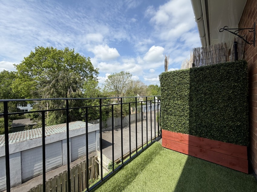 Images for Altamira, Topsham