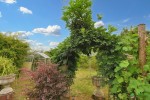 Images for Half Moon,, Exeter,, EX5